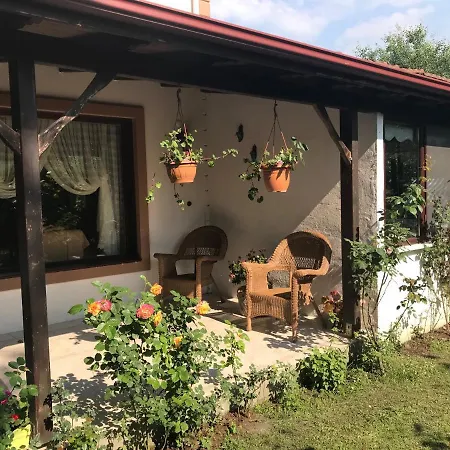 Sezen's